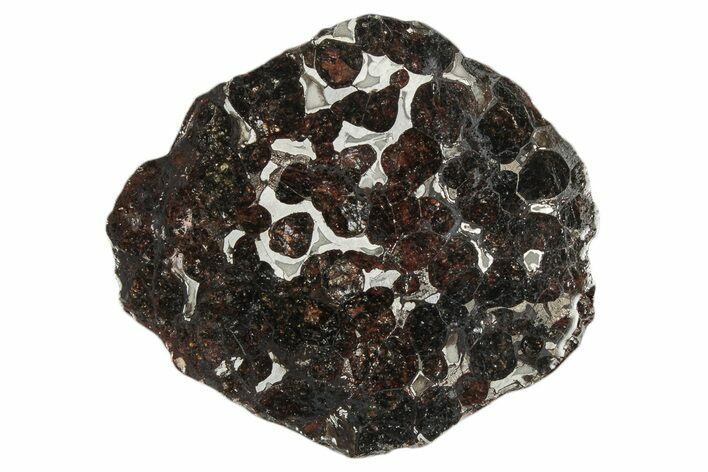 Sericho Pallasite Meteorite ( g) Slice - Kenya #346464